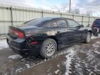 2014 Dodge Charger Police