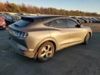 2021 Ford Mustang MACH-E Select