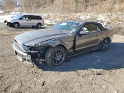 Salvage cars for sale at Marlboro, NY auction: 2014 Ford Mustang