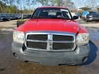 2007 Dodge Dakota Quattro