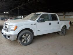 Vehiculos salvage en venta de Copart Phoenix, AZ: 2014 Ford F150 Supercrew