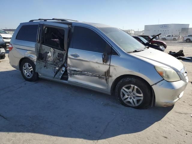 2005 Honda Odyssey EXL