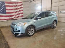 Salvage cars for sale at Columbia, MO auction: 2013 Ford Escape SEL