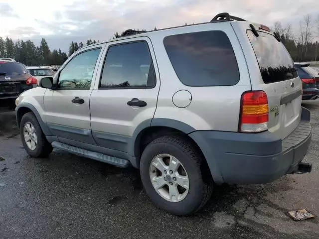 2005 Ford Escape XLT