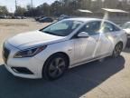 2016 Hyundai Sonata PLUG-IN Hybrid