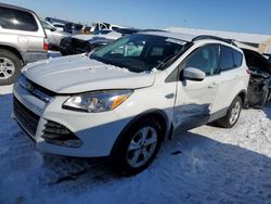 Salvage cars for sale at Brighton, CO auction: 2016 Ford Escape SE