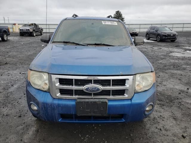 2011 Ford Escape XLT