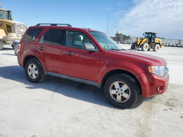 2010 Ford Escape XLT