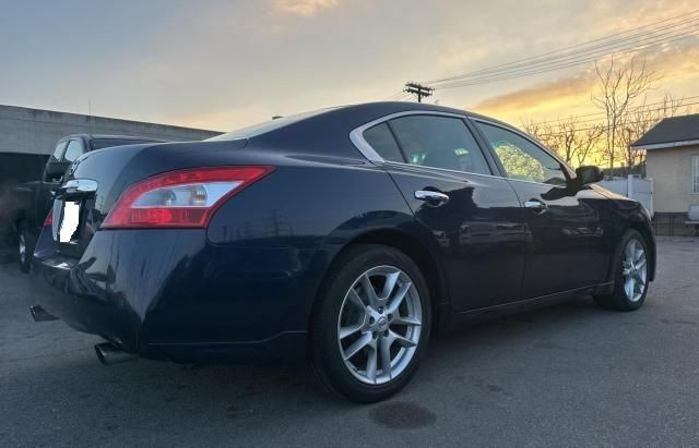 2010 Nissan Maxima S