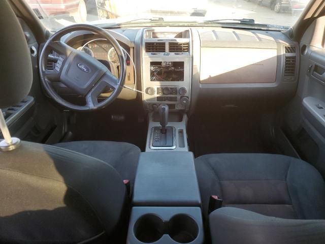 2008 Ford Escape XLT