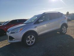 Salvage SUVs for sale at auction: 2014 Ford Escape SE