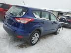 2013 Ford Escape S