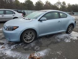 Scion salvage cars for sale: 2006 Scion TC