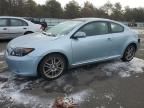 2006 Scion TC