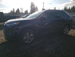 2023 Toyota Rav4 XLE en venta en Graham, WA