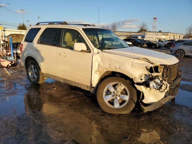 2010 Ford Escape Limited