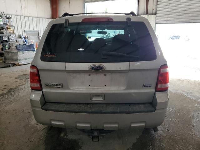 2010 Ford Escape XLT