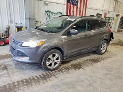 Salvage SUVs for sale at auction: 2014 Ford Escape SE