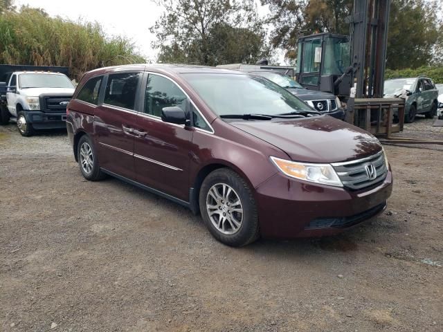 2013 Honda Odyssey EXL