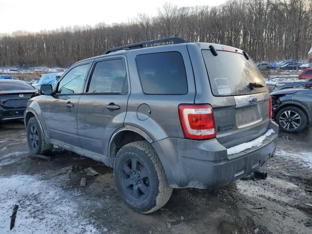 2009 Ford Escape Limited