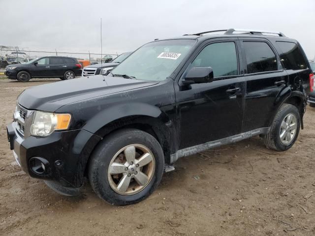 2010 Ford Escape Limited