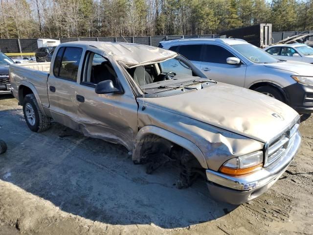 2004 Dodge Dakota Quad SLT