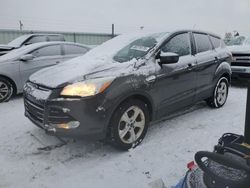 Ford Escape Vehiculos salvage en venta: 2015 Ford Escape SE