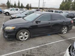 Toyota salvage cars for sale: 2011 Toyota Camry SE