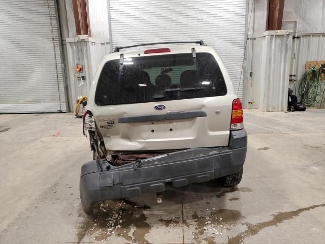 2005 Ford Escape XLT