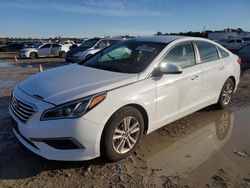 Hyundai Sonata se salvage cars for sale: 2016 Hyundai Sonata SE