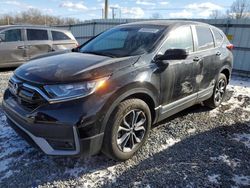 Salvage cars for sale at Chambersburg, PA auction: 2020 Honda CR-V EX