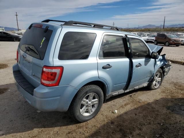 2009 Ford Escape Hybrid