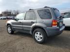 2004 Ford Escape XLT