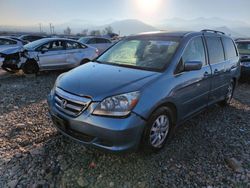 Salvage cars for sale at Magna, UT auction: 2006 Honda Odyssey EX