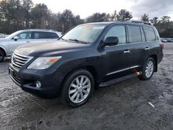 Lexus Vehiculos salvage en venta: 2011 Lexus LX 570