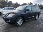 2011 Lexus LX 570