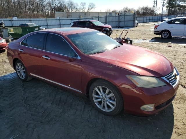 2010 Lexus ES 350