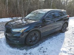 Salvage cars for sale at Cookstown, ON auction: 2019 Acura RDX A-Spec