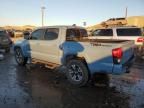 2019 Toyota Tacoma Double Cab