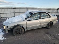 Toyota salvage cars for sale: 2002 Toyota Corolla CE