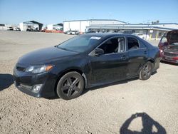 Salvage cars for sale at San Diego, CA auction: 2013 Toyota Camry L