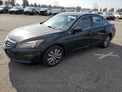 Honda Vehiculos salvage en venta: 2012 Honda Accord EX