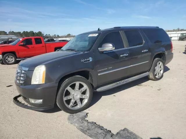 2010 Cadillac Escalade ESV Luxury