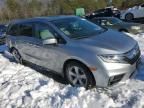 2019 Honda Odyssey EXL