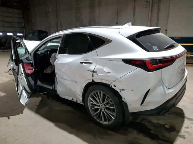 2024 Lexus NX 350H Base