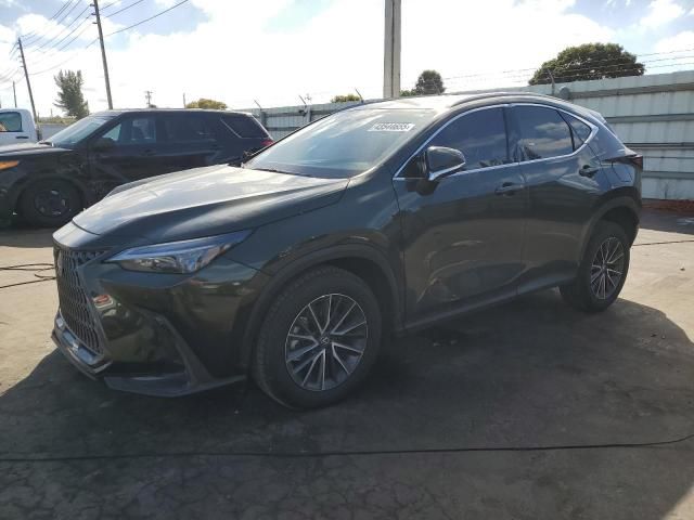 2025 Lexus NX 250 Premium