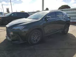 2025 Lexus NX 250 Premium en venta en Miami, FL