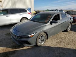 Salvage cars for sale at Tucson, AZ auction: 2024 Hyundai Elantra Blue