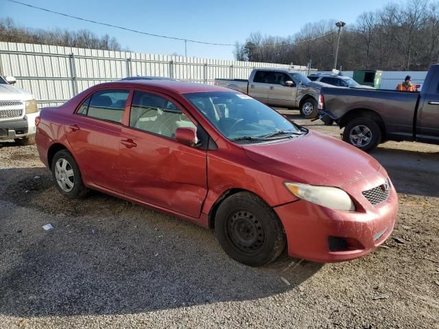 2010 Toyota Corolla Base