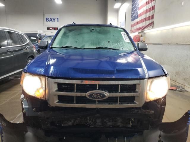 2008 Ford Escape XLT